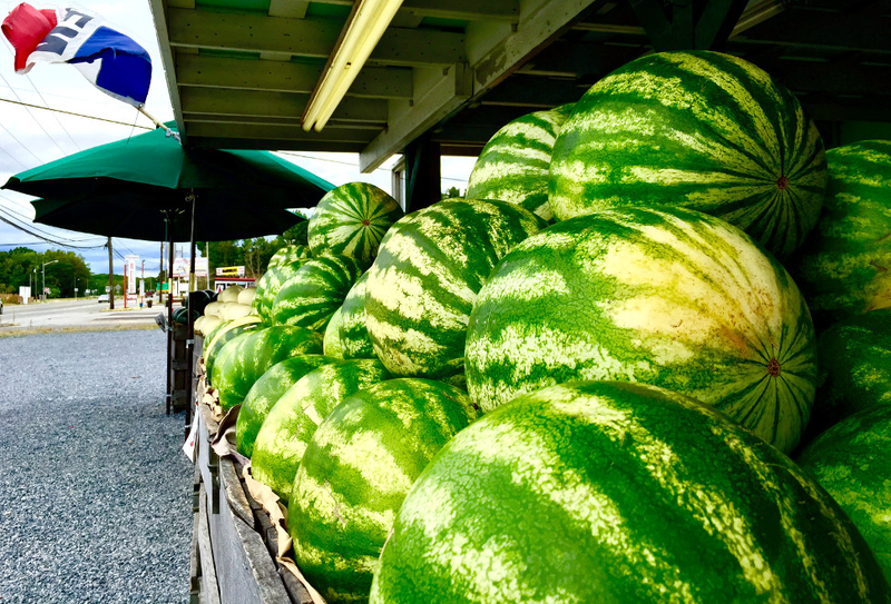 Illustration for article titled 9 Delicious Photos Of Produce That Will Probably Turn You Vegan